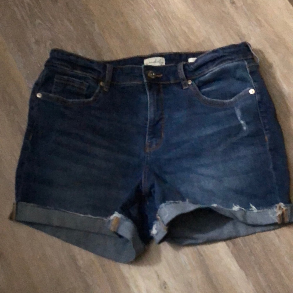 Wonderly Mid Rise Short Distressed Jeans